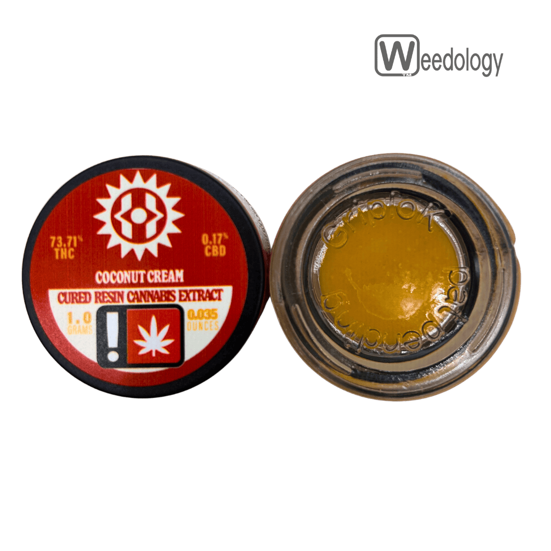 Higher Cultures: Coconut Cream Budder