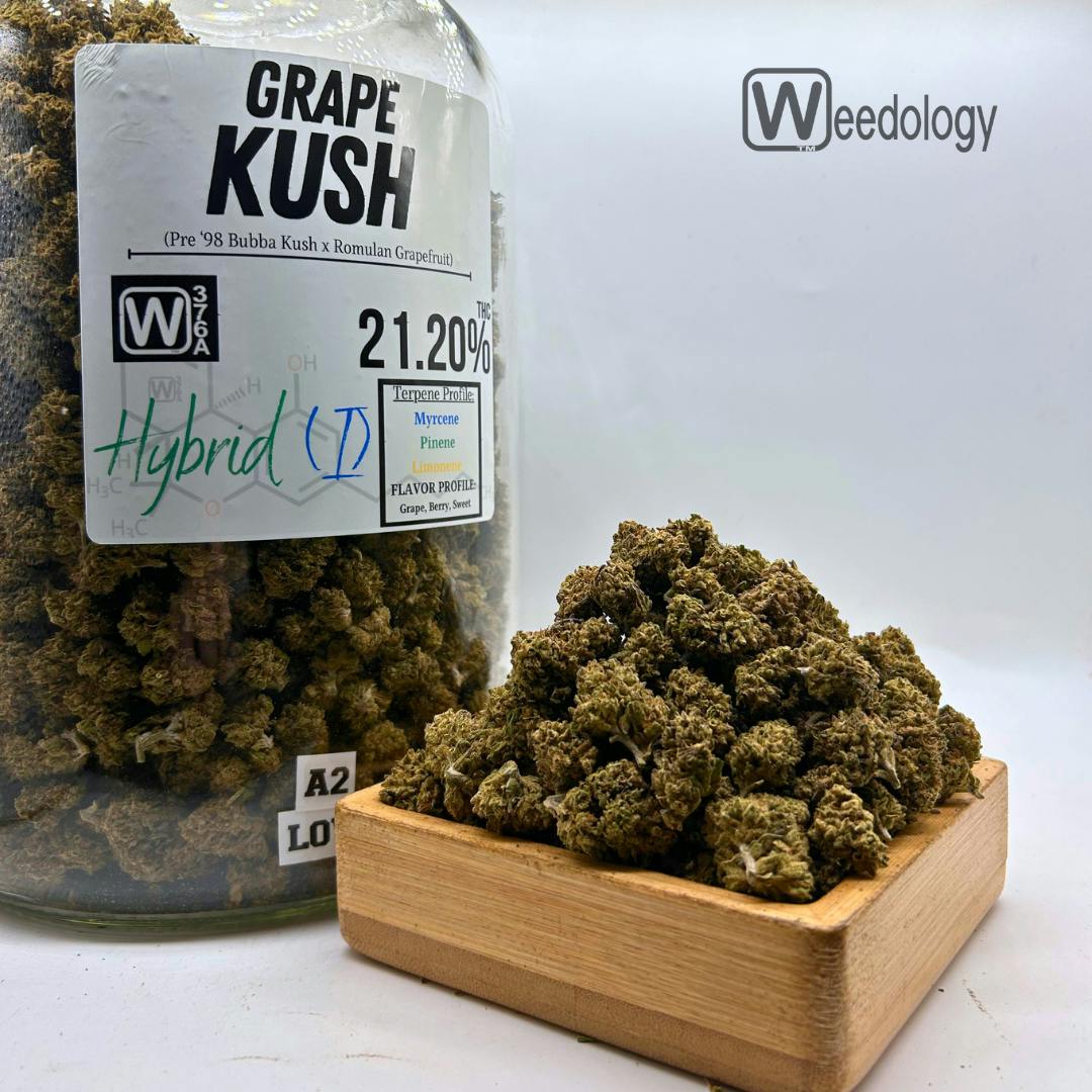 Grape Kush: Grape Kush (I-H)