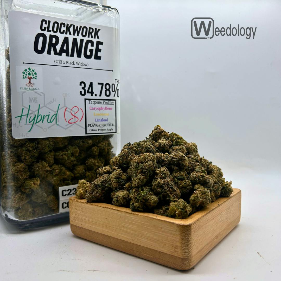 Clock Work Orange