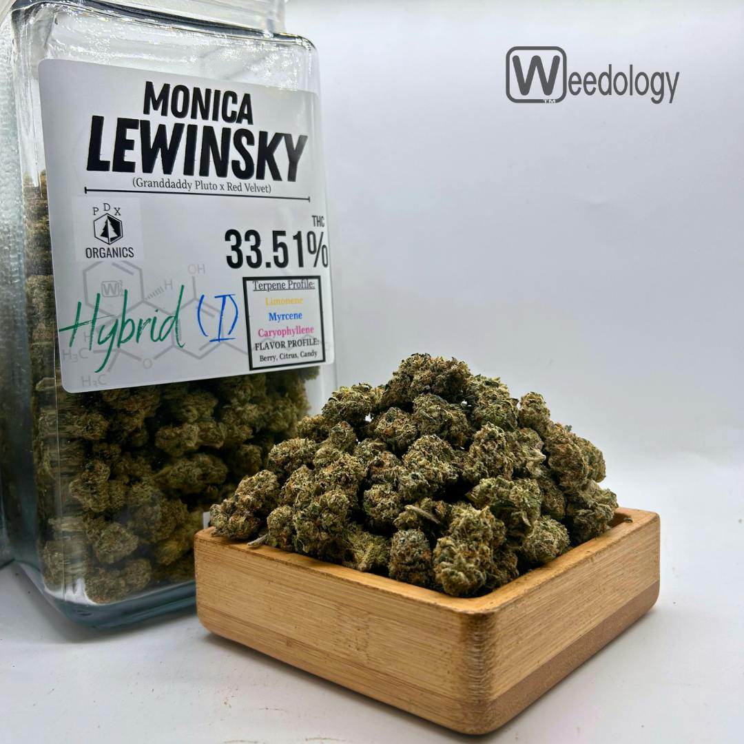 Monica Lewinsky