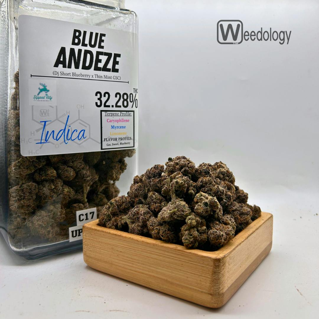 BLUE ANDEZE: Blue Andeze (I)