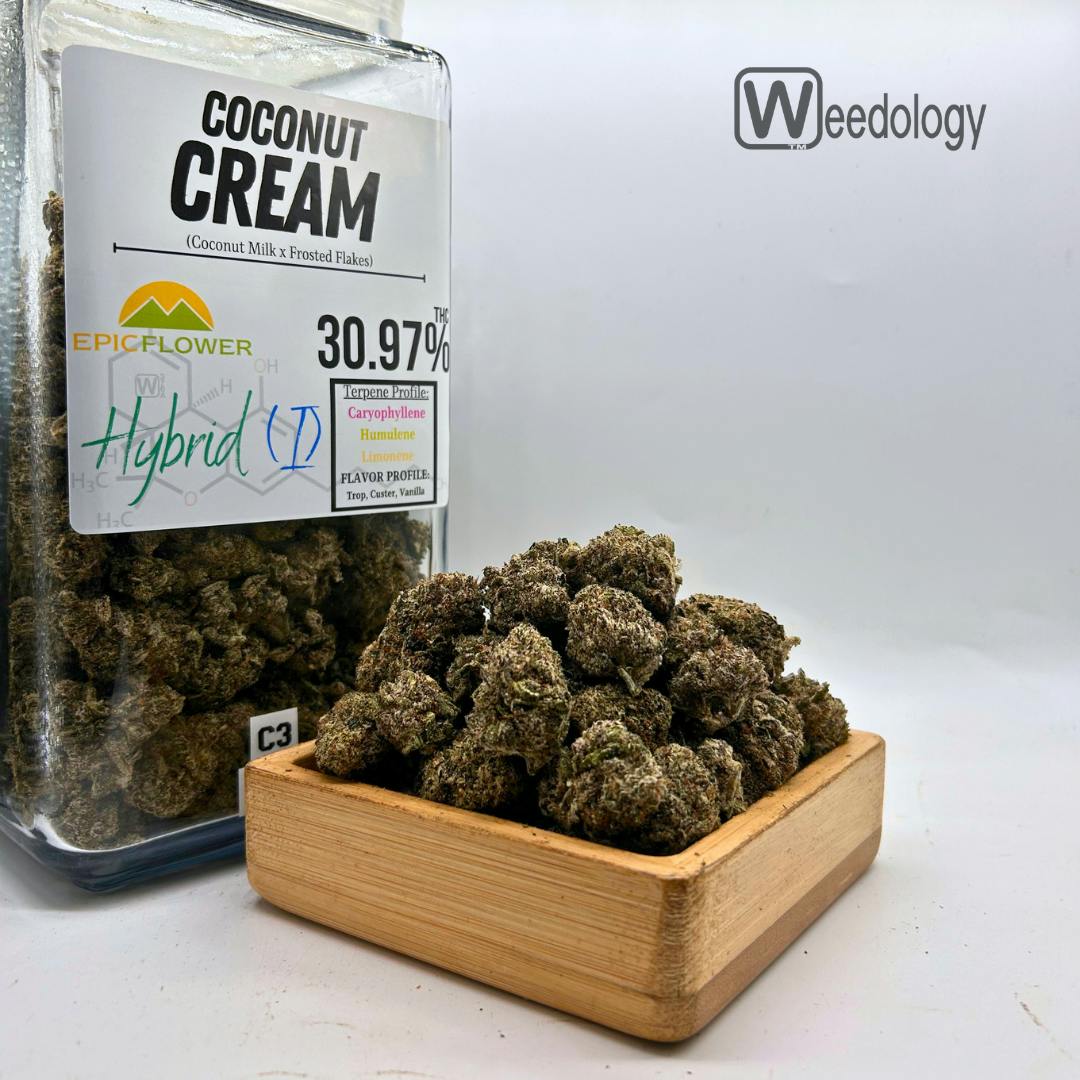 Coconut Cream: Coconut Cream (I-H)
