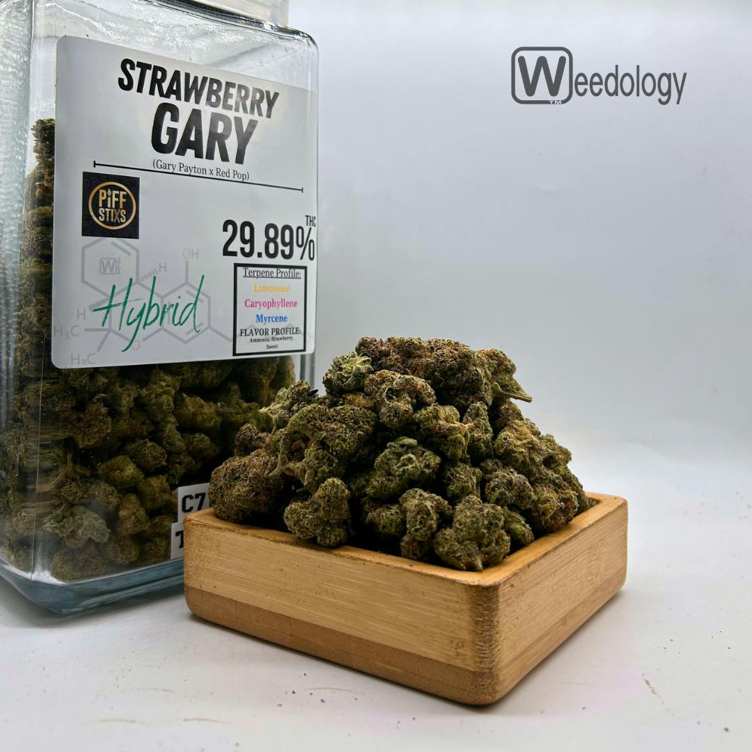 Strawberry Gary: Strawberry Gary (H).