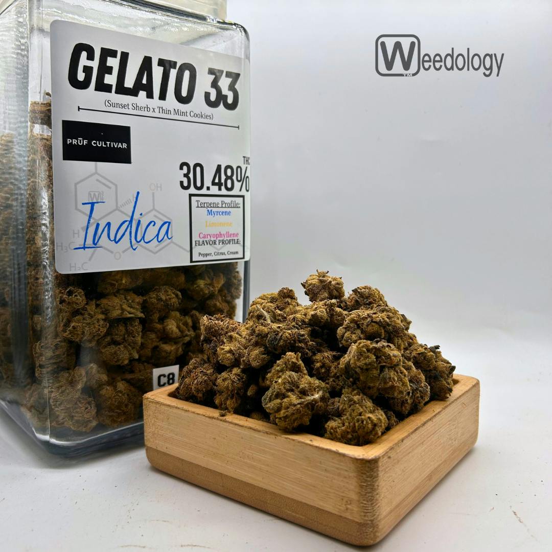 Gelato 33: Gelato 33 (I)