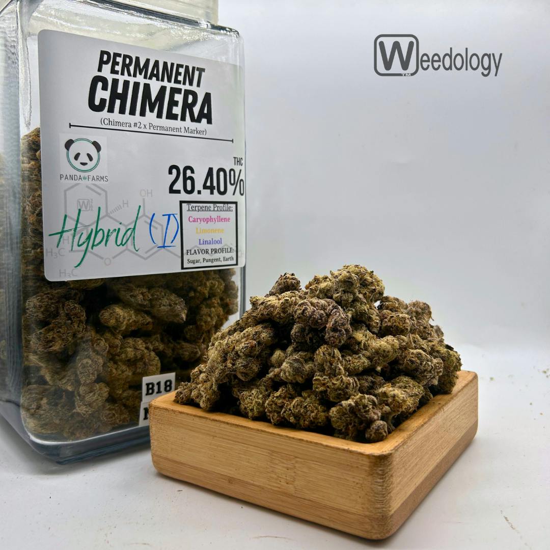 Permanent Chimera: Permanent Chimera (I-H)
