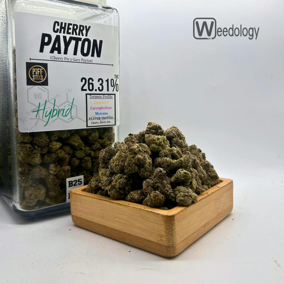 Cherry Payton (H)