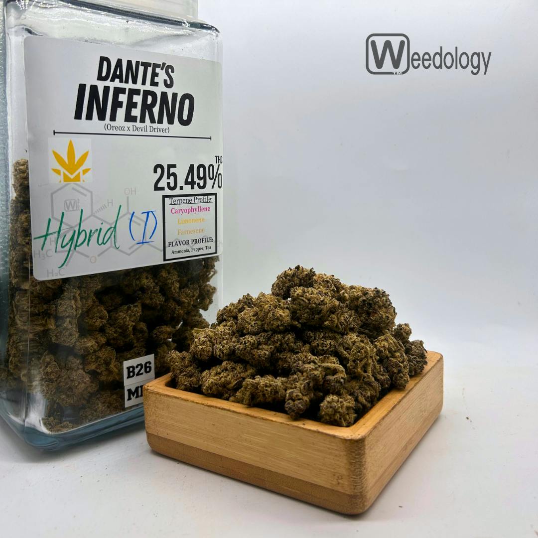 Dante's Inferno: Dante's Inferno (I-H)