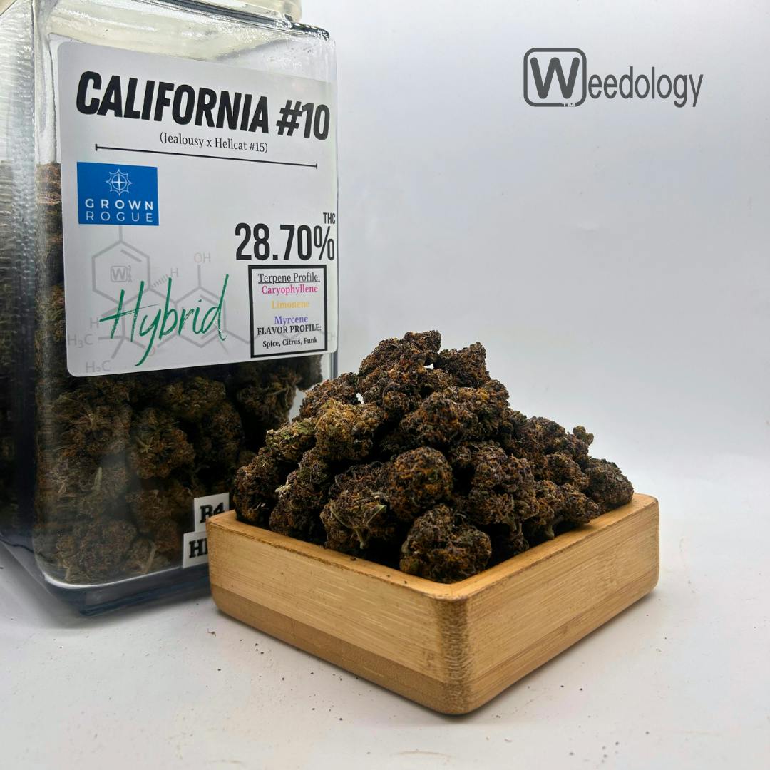 California #10