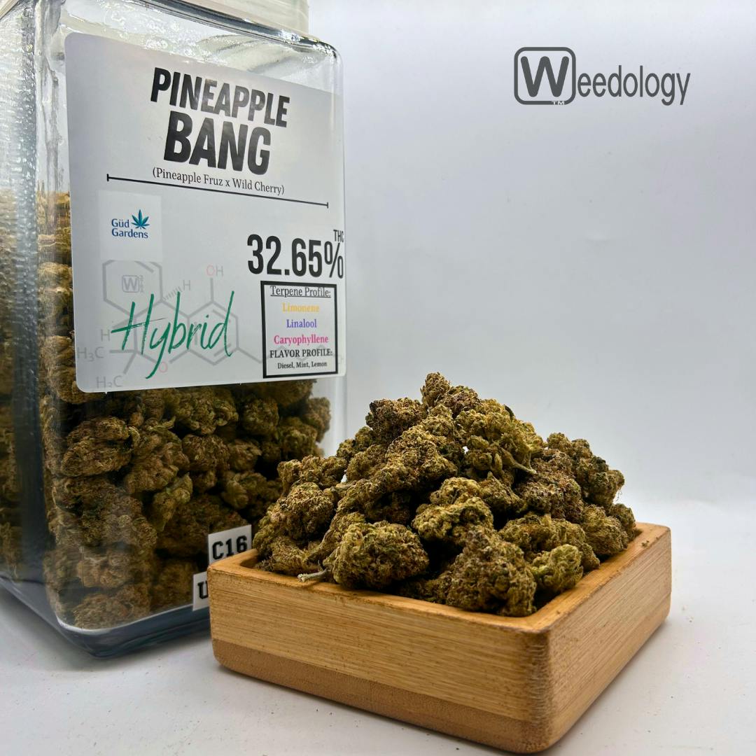 Pineapple: Pineapple Bang (H)