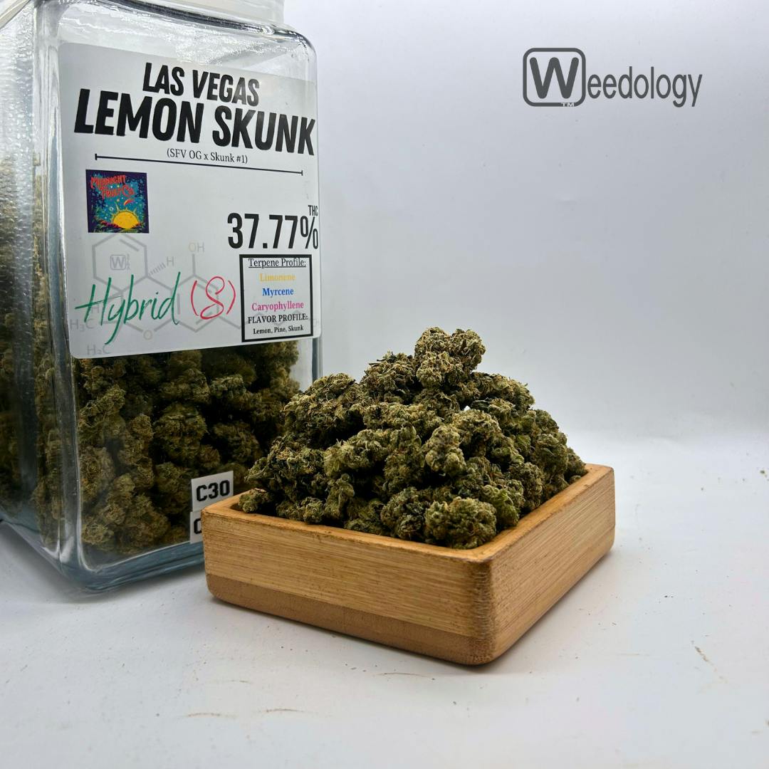 Las Vegas Lemon Skunk (S-H)