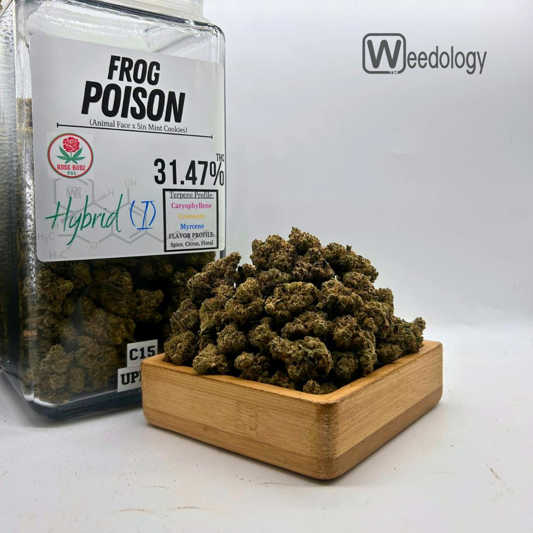 Frog Poison: Frog Poison (I-H)