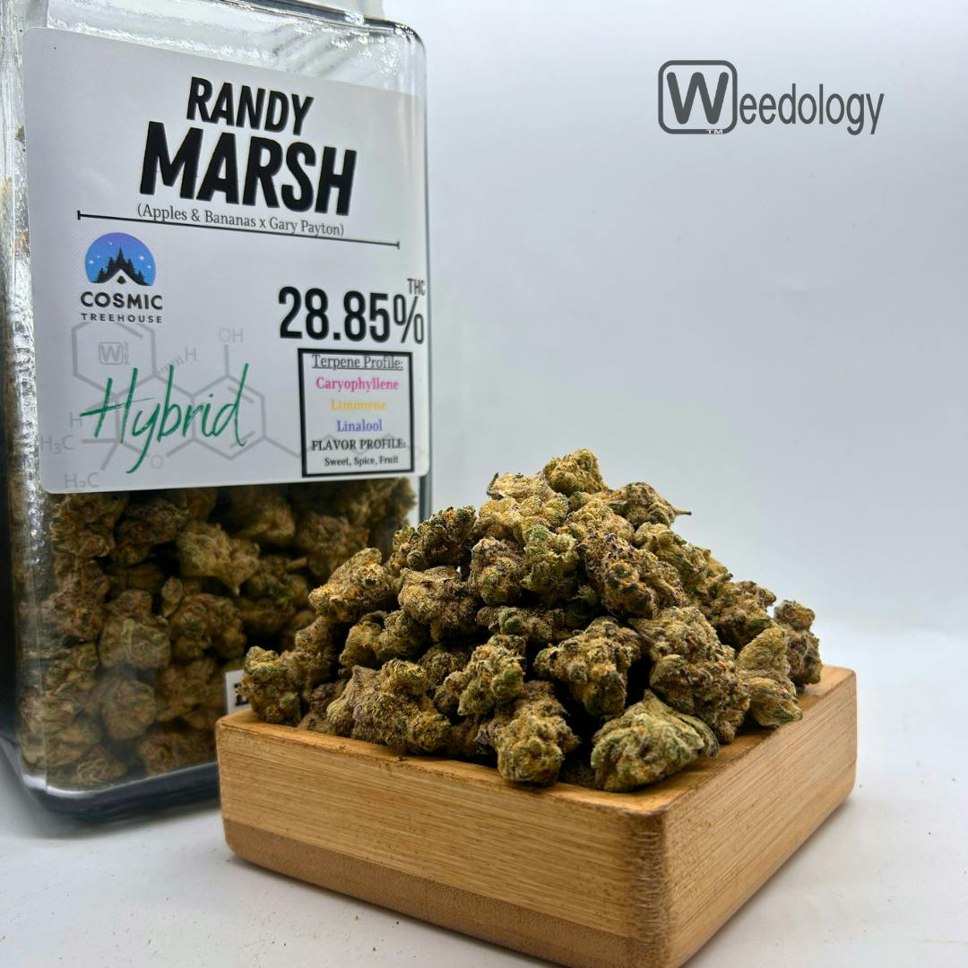 Randy Marsh: Randy Marsh (H)