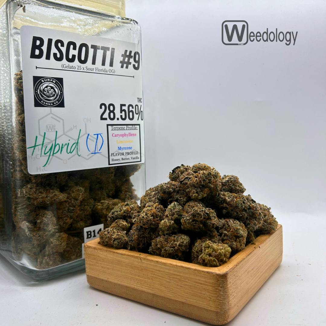 Biscotti: Biscotti #9 (I-H)