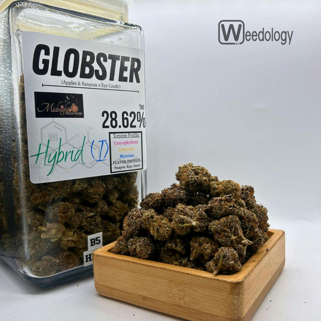 Globster (I-H)
