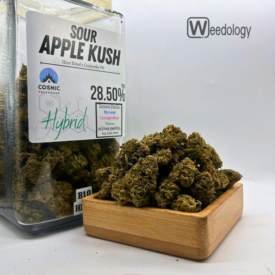 Sour Apple Kush: Sour Apple Kush (H)