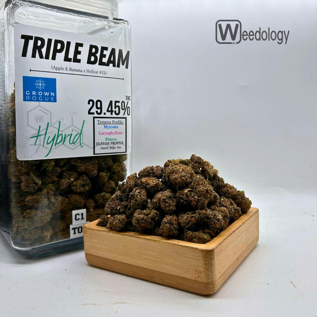 Triple: Triple Beam (H)