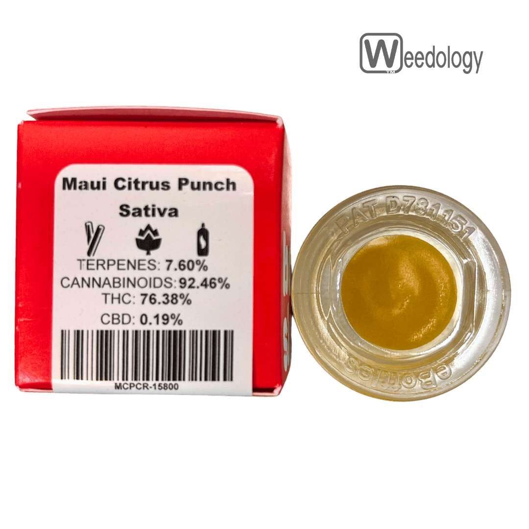 Bobsled: Maui Citrus Punch Cr
