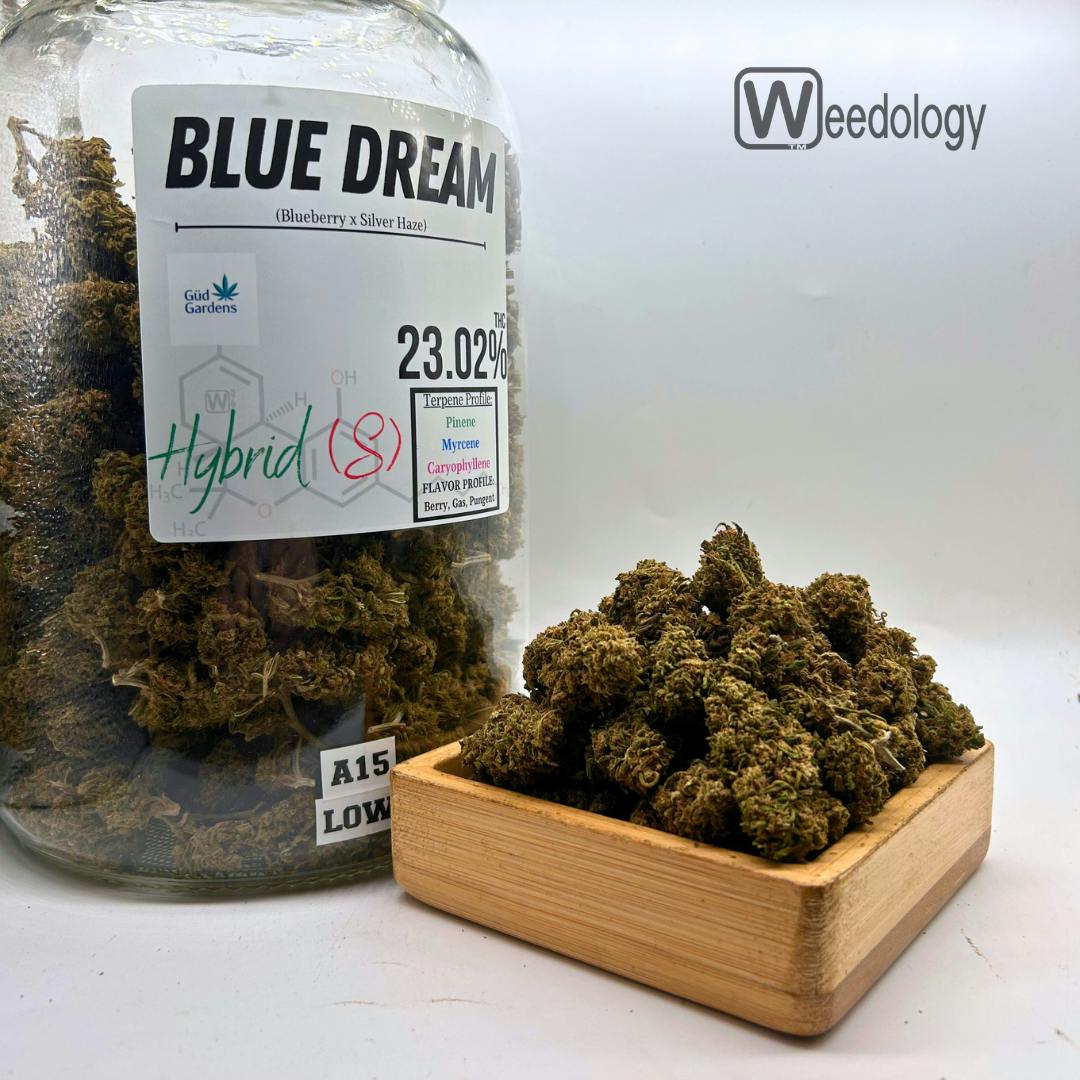 Blue Dream: Blue Dream .(S-H)