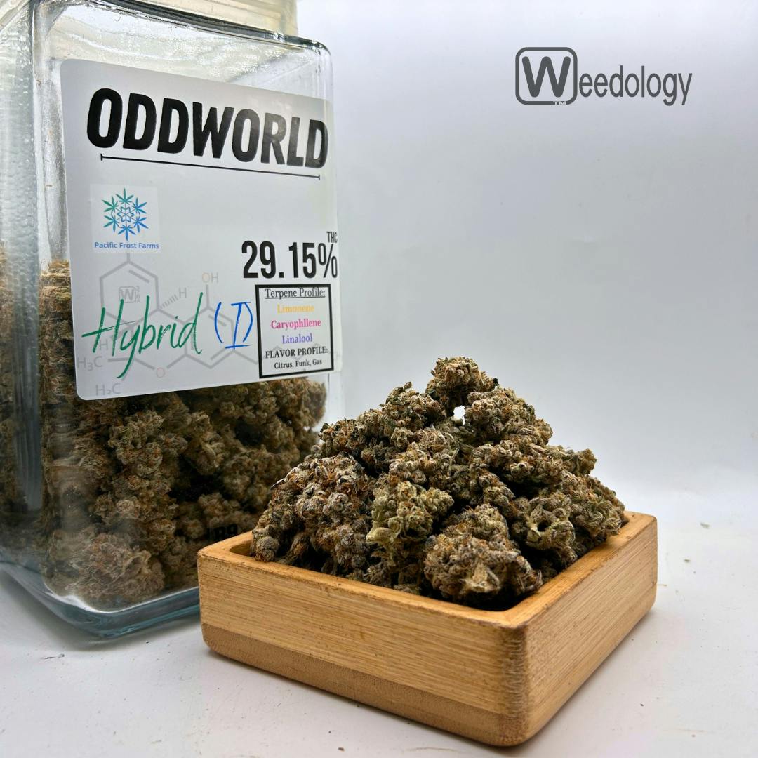 Oddworld (I-H)