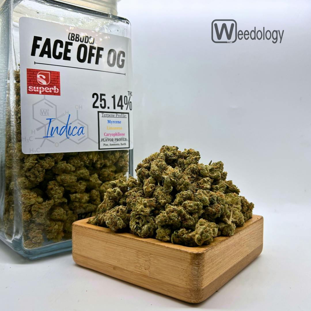Face Off OG (BBuds) (I)
