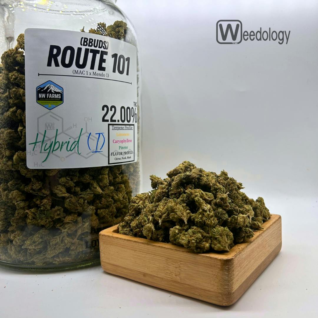 Route 101 (BBuds) (I-H)