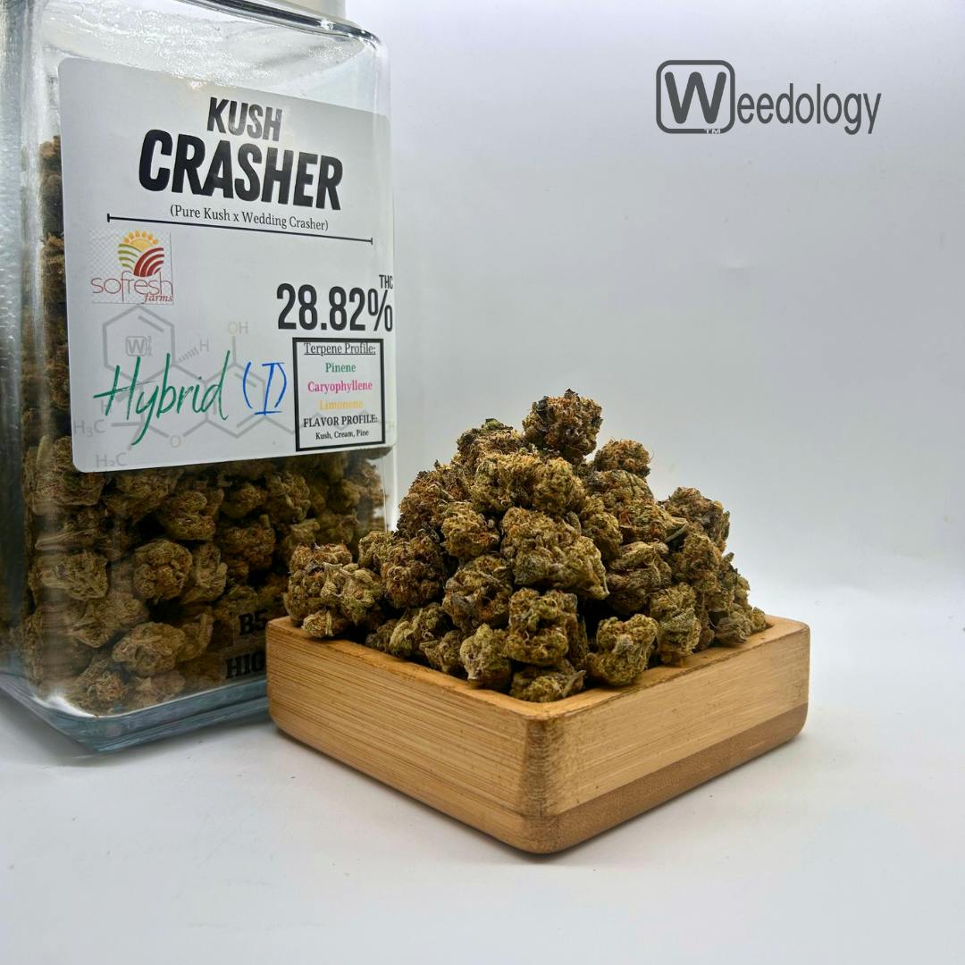 Kush Crasher (I-H).