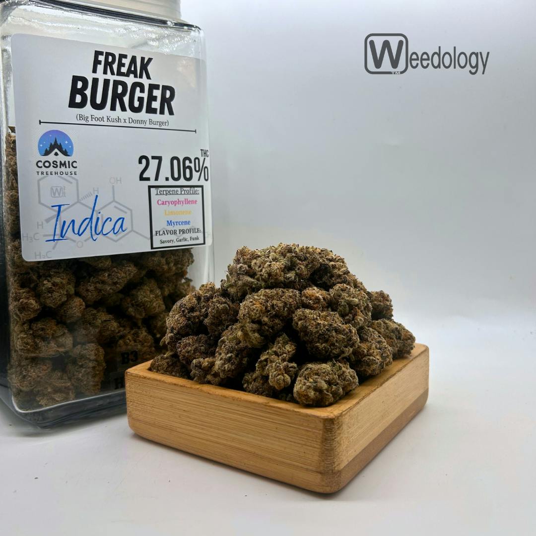 Freak Burger (I)