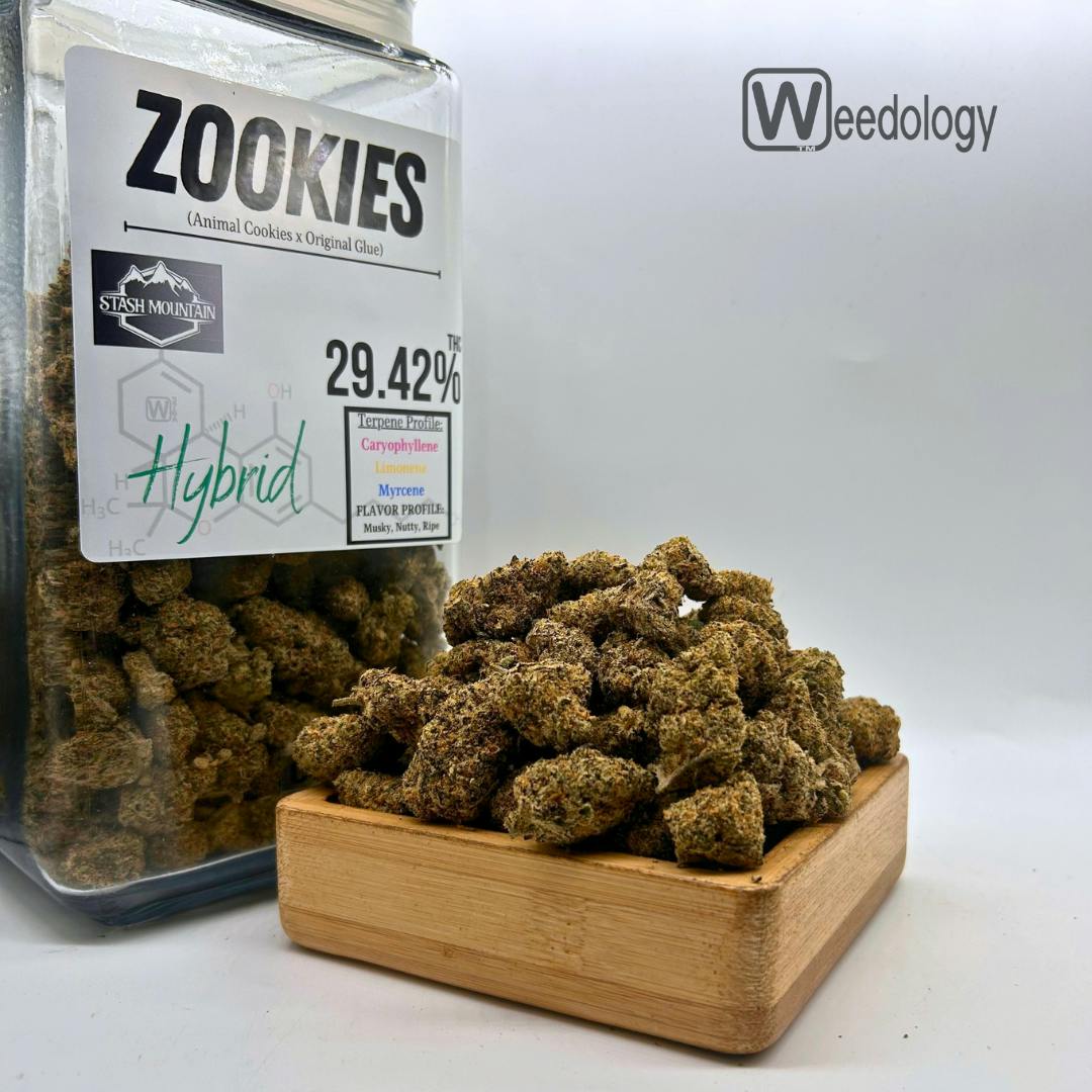 Zookies (H).