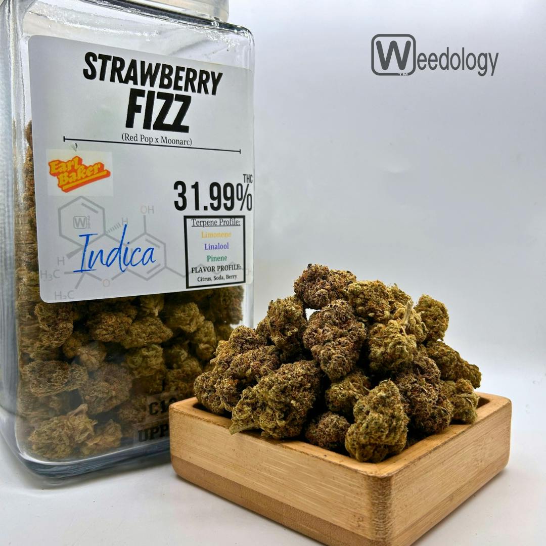 Strawberry Fizz (I)