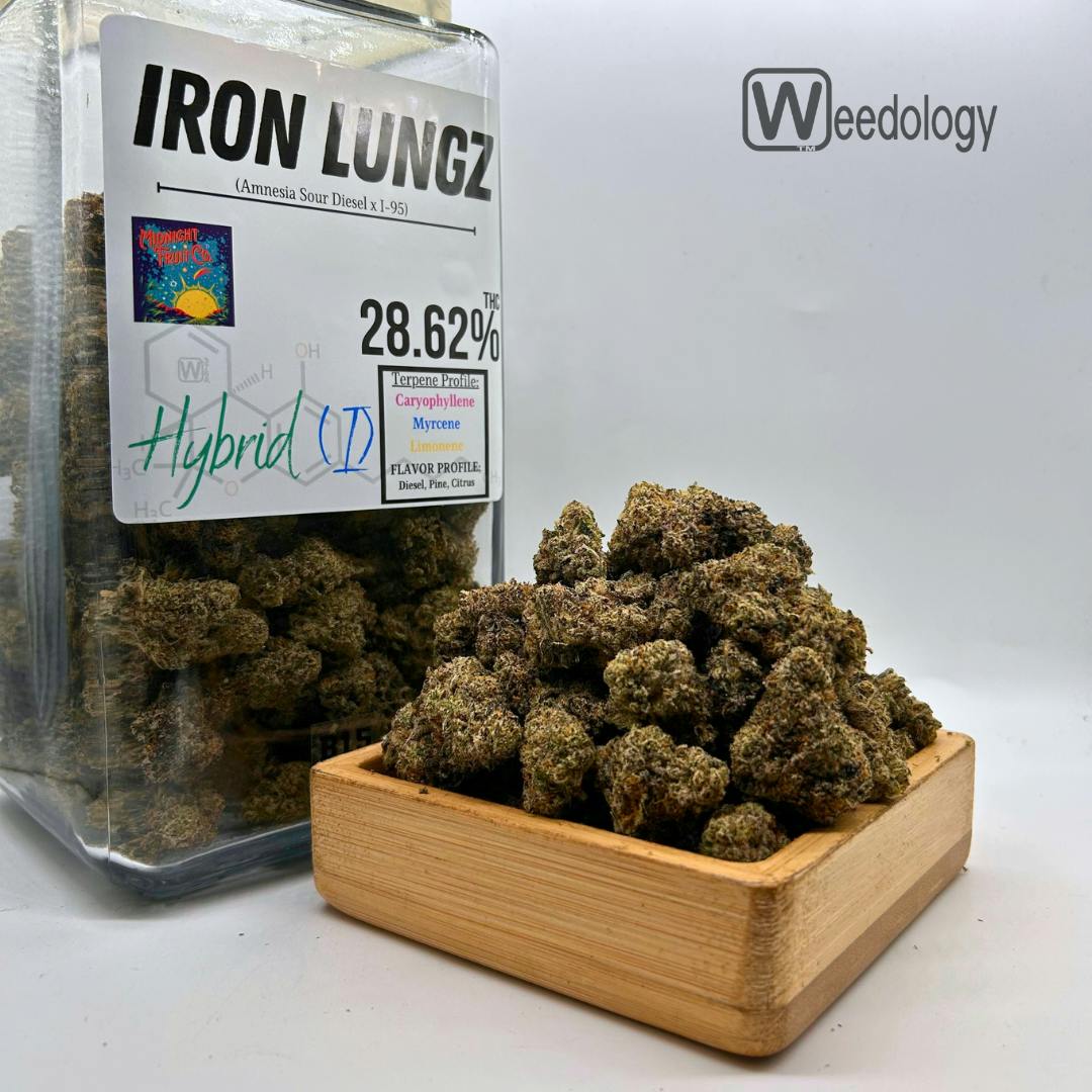 Iron Lungz Bx (I-H)
