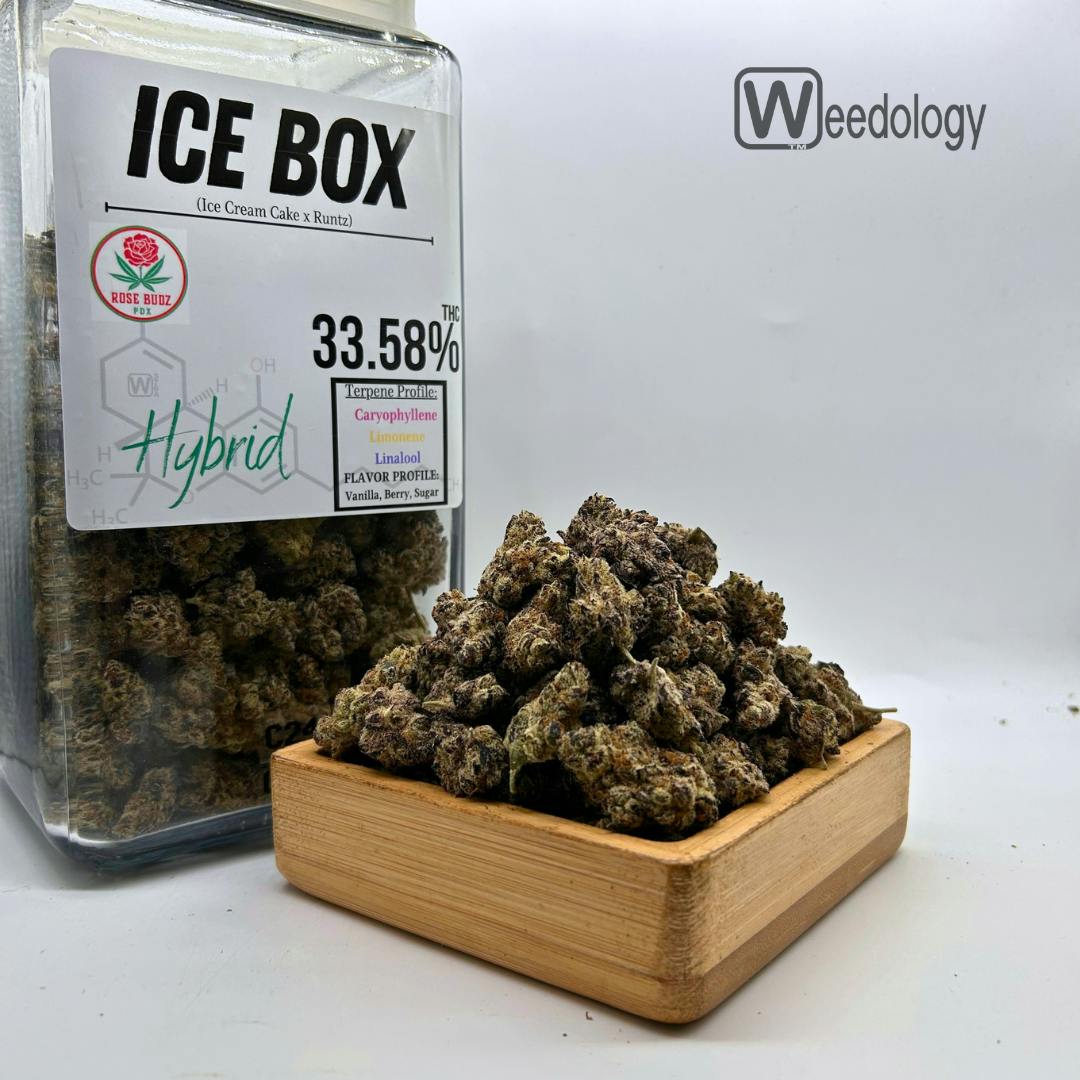 Ice Box (H)