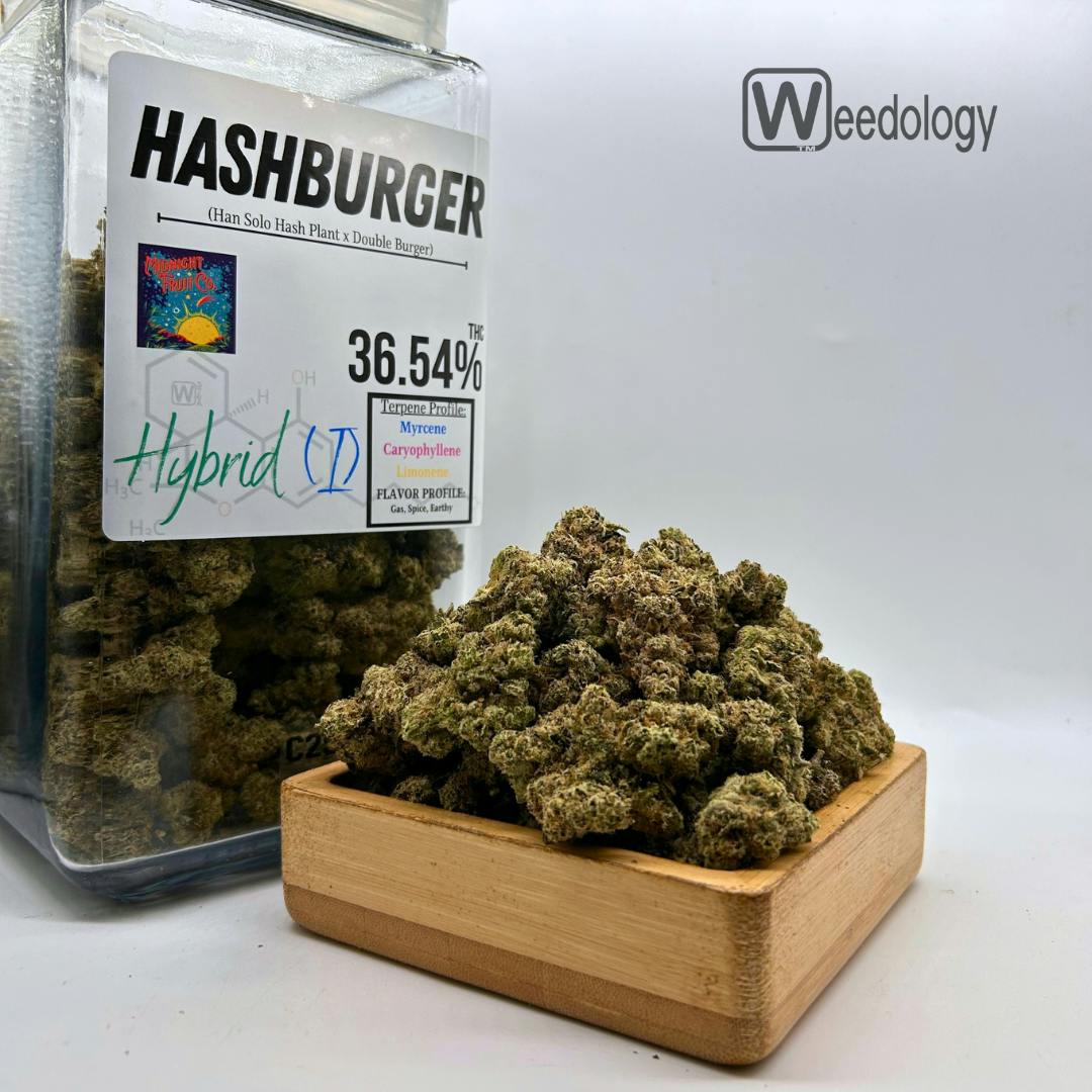 Hash Burger (I-H)