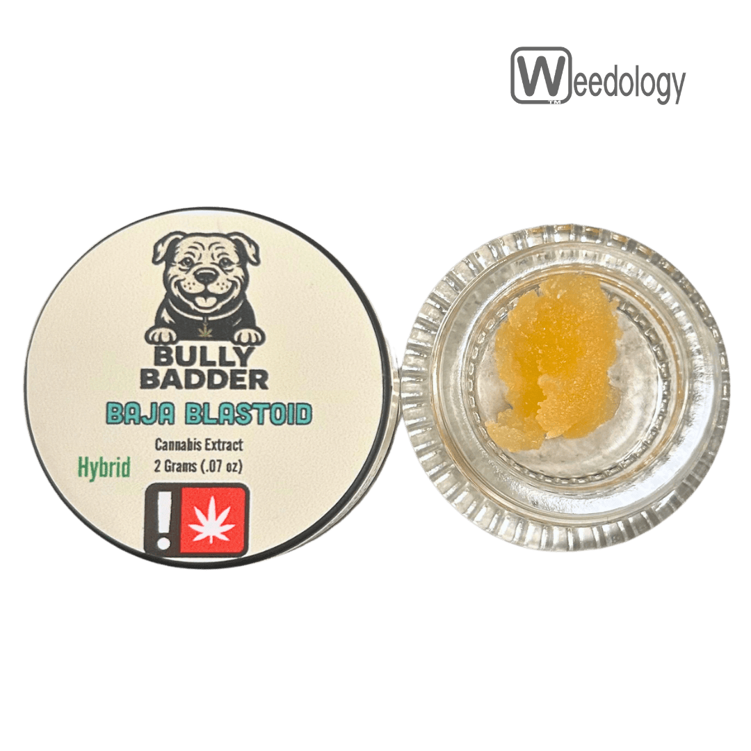 Bully 2g BAJA BLASTOID Badder