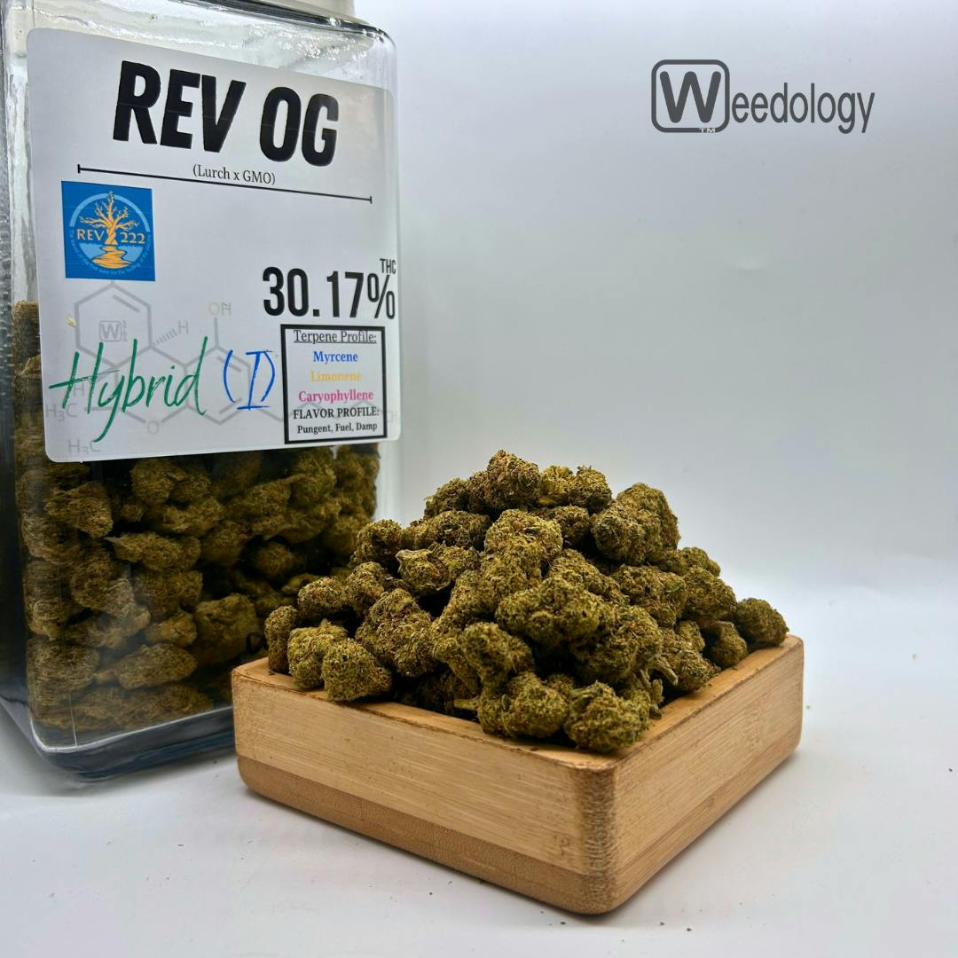 Rev OG (I-H)