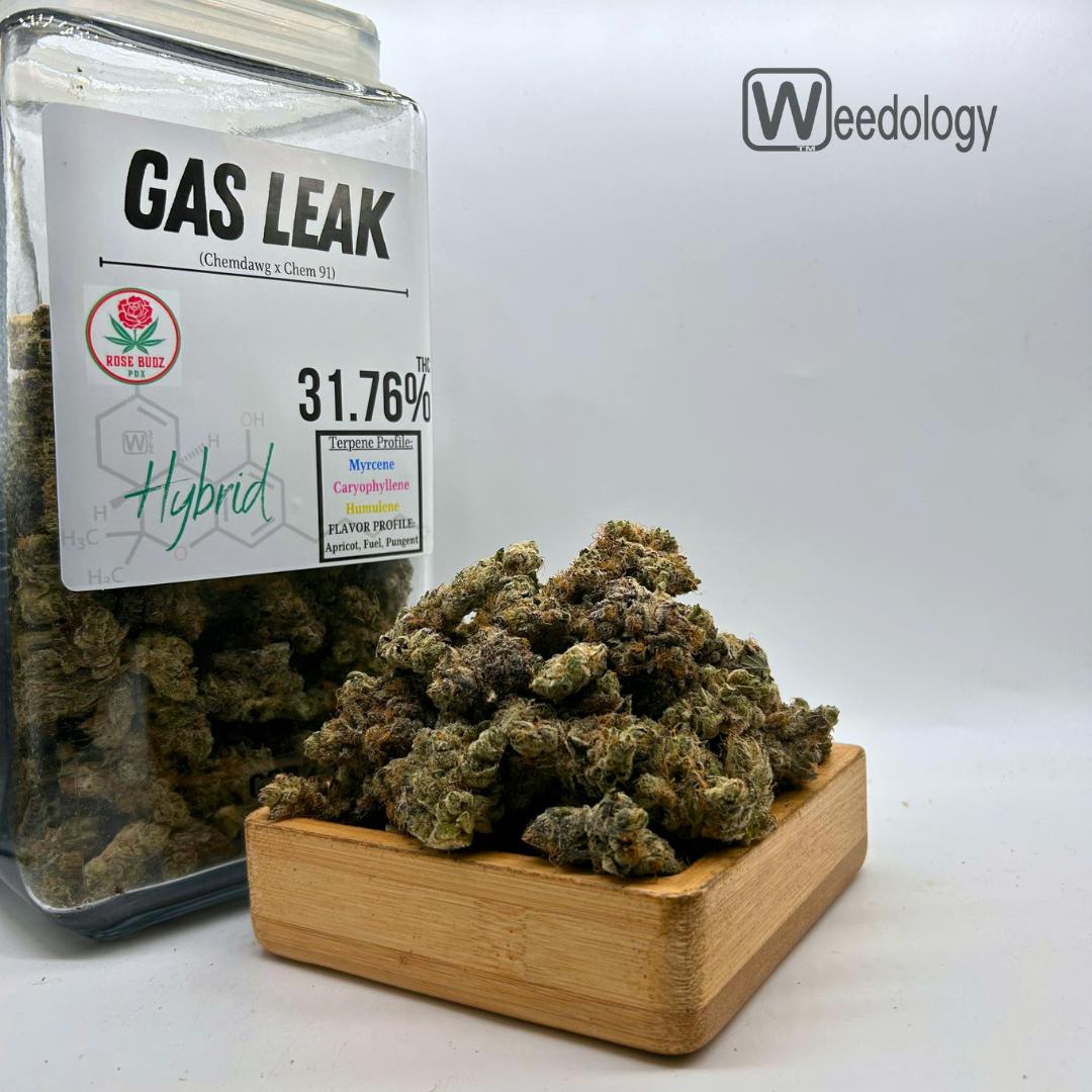Gas Leak (H).