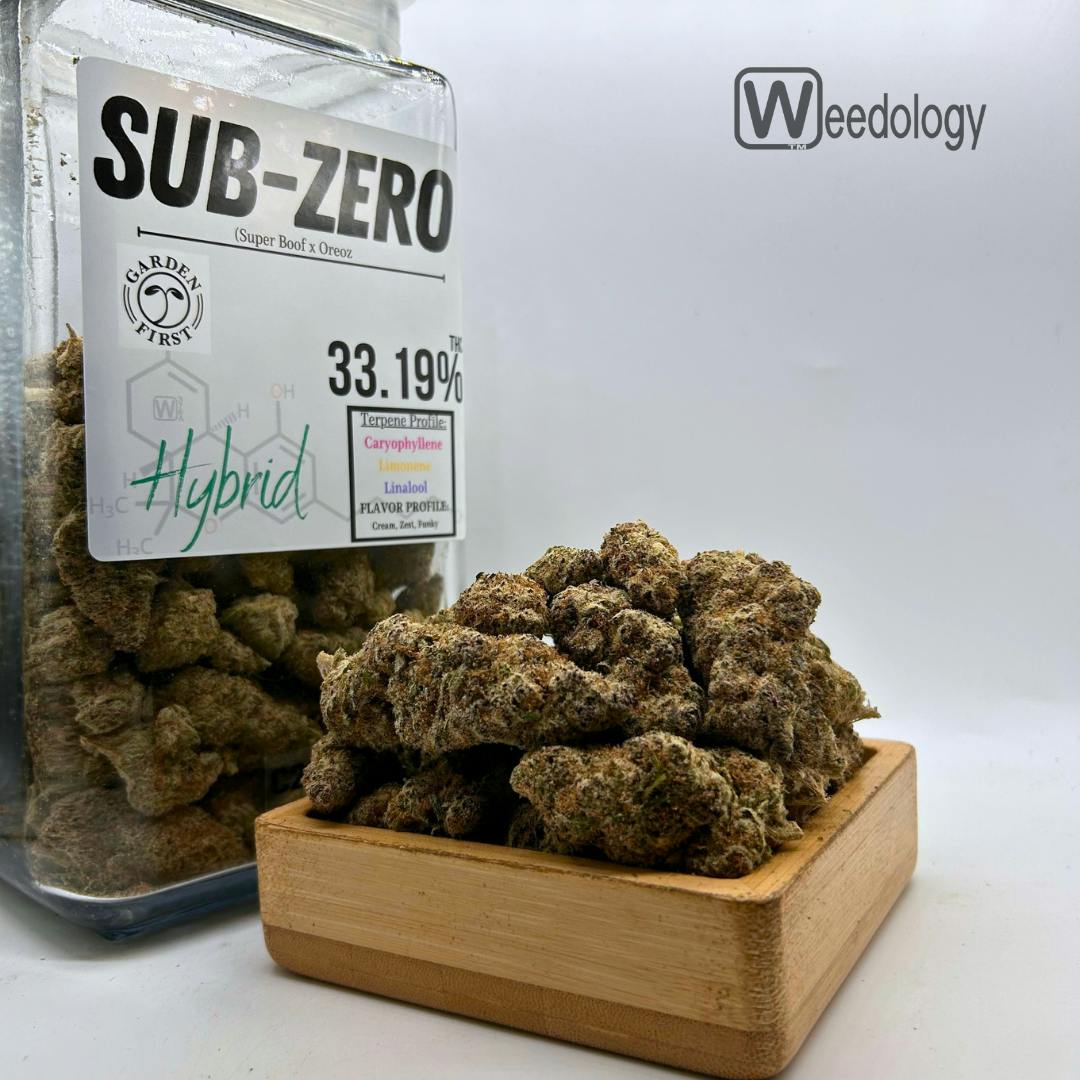 Sub-Zero (H)