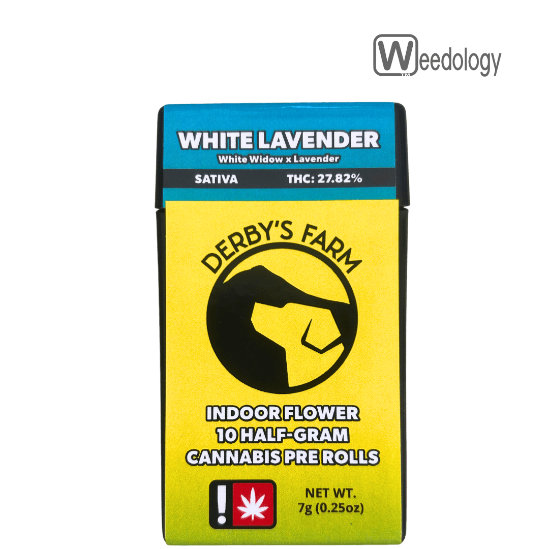 Derby's 10pk WHITE LAVENDER 0.5g Pre-Rolls