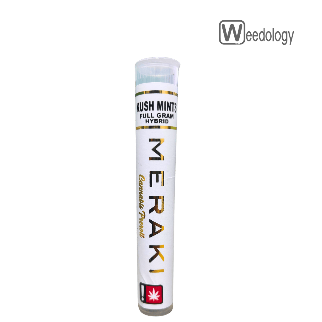 Meraki 1g KUSH MINTS Single Pre-Roll