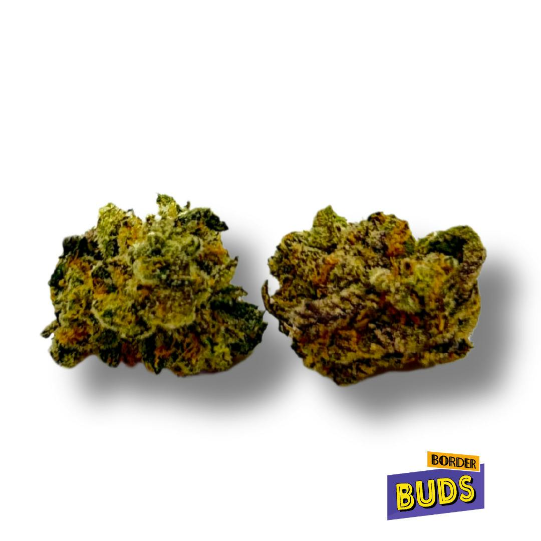 Blue Sherbet | Zenith | Deli-Flower