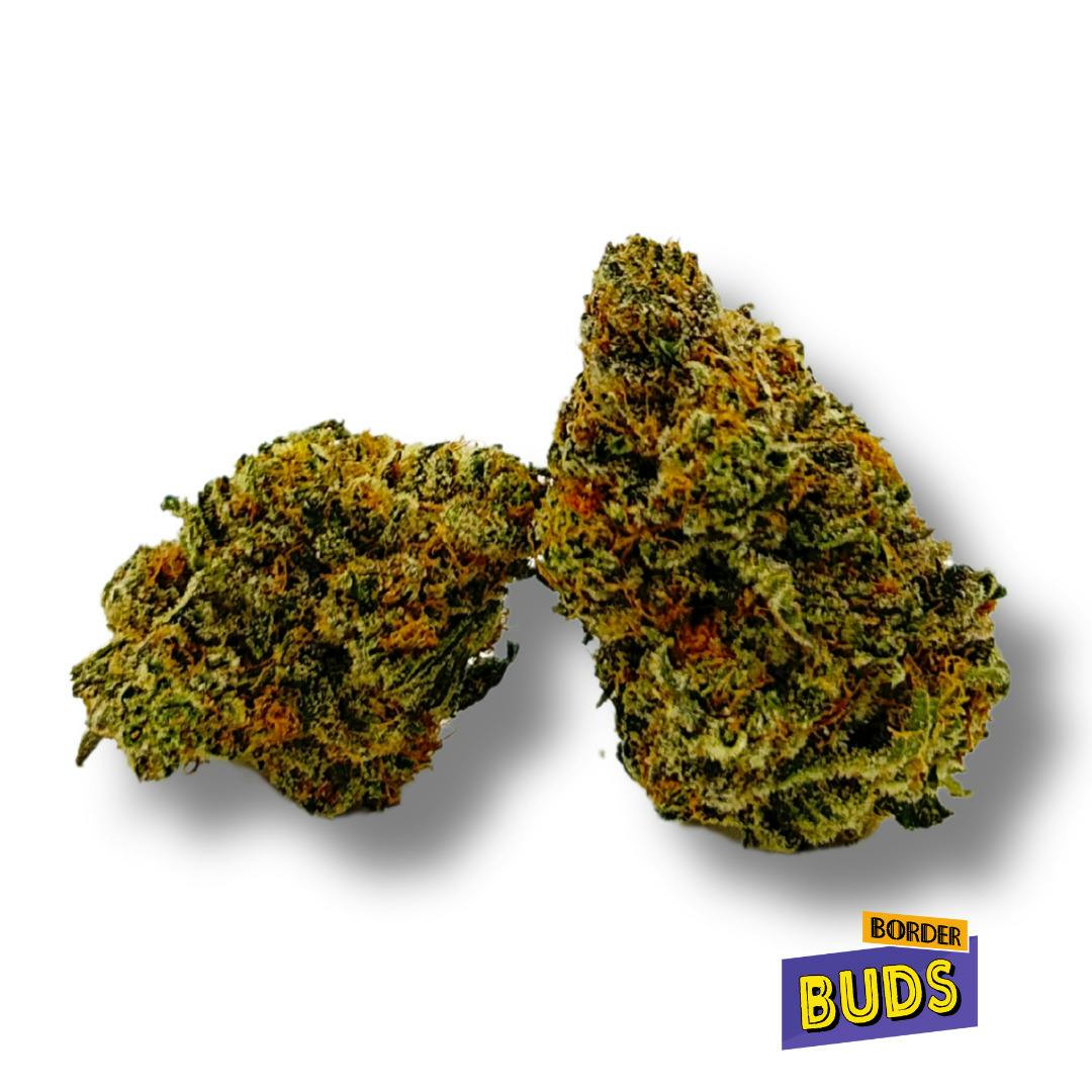 Tangie Z | Zenith | Deli-Flower