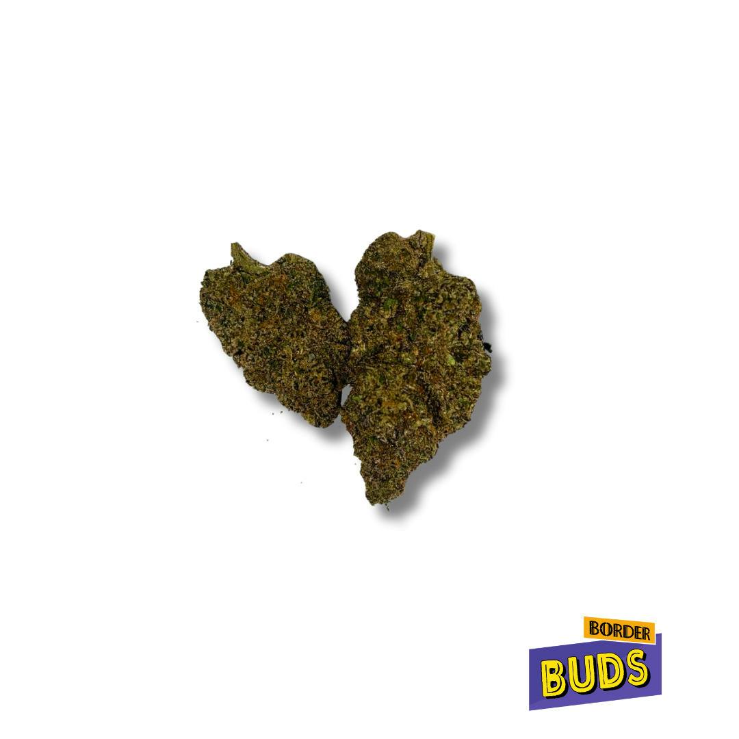 Sherb Cream Pie | Fade Away | Deli-Flower