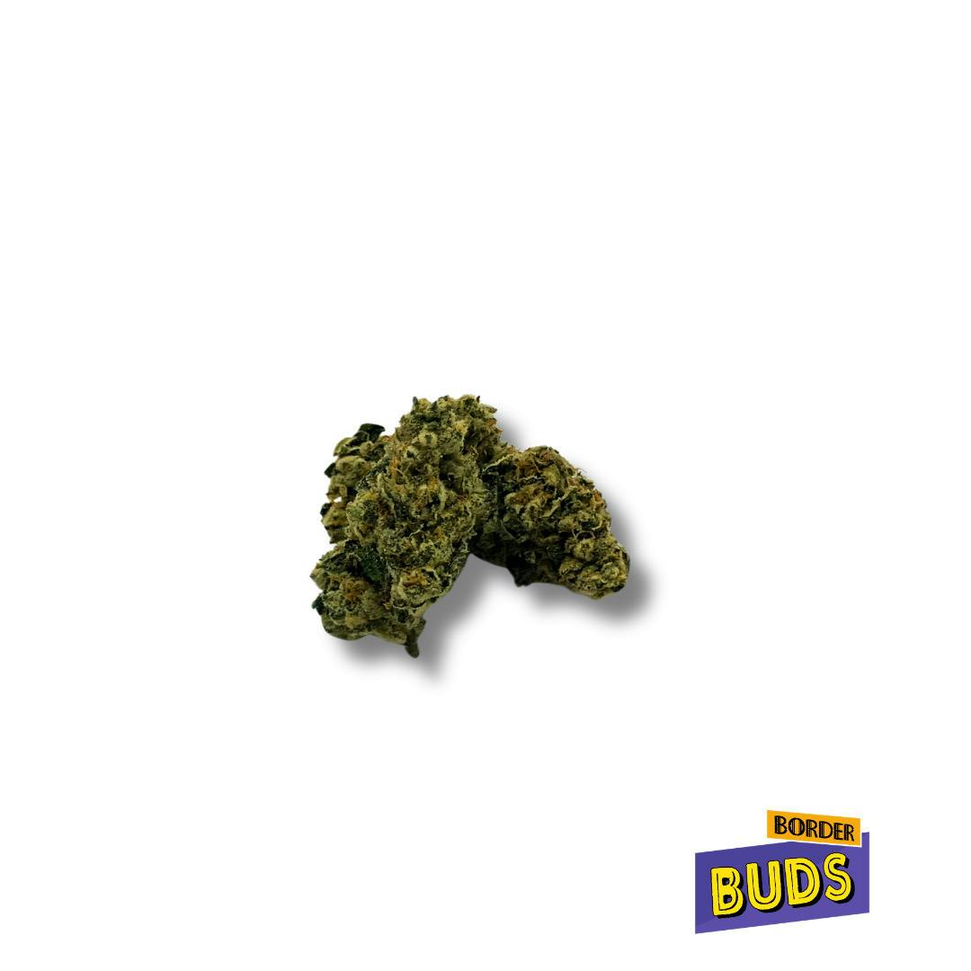 Animal Face | Wise Guys | Deli-Flower