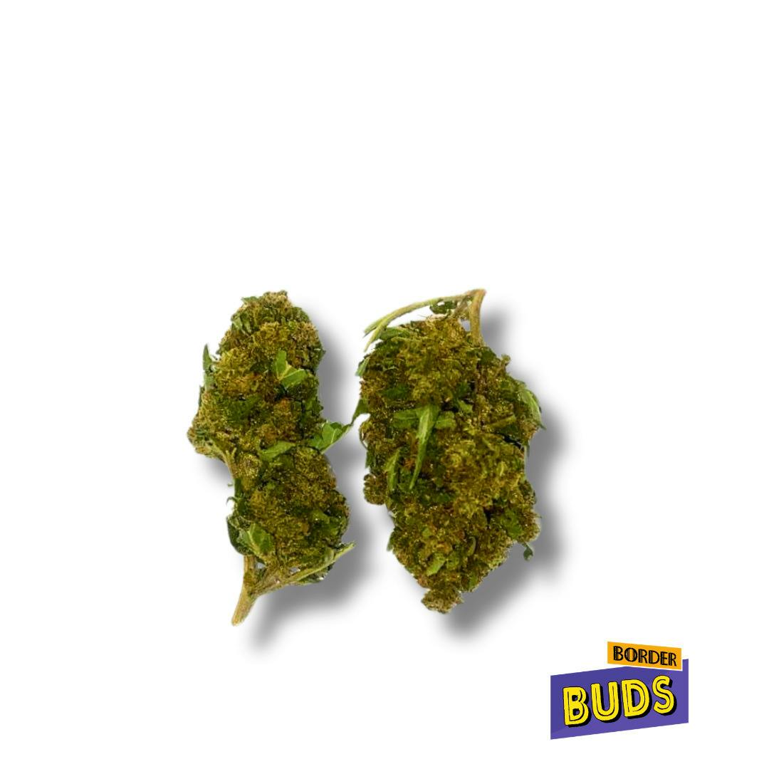 Jack Herer | Root and Sol | Deli-Flower