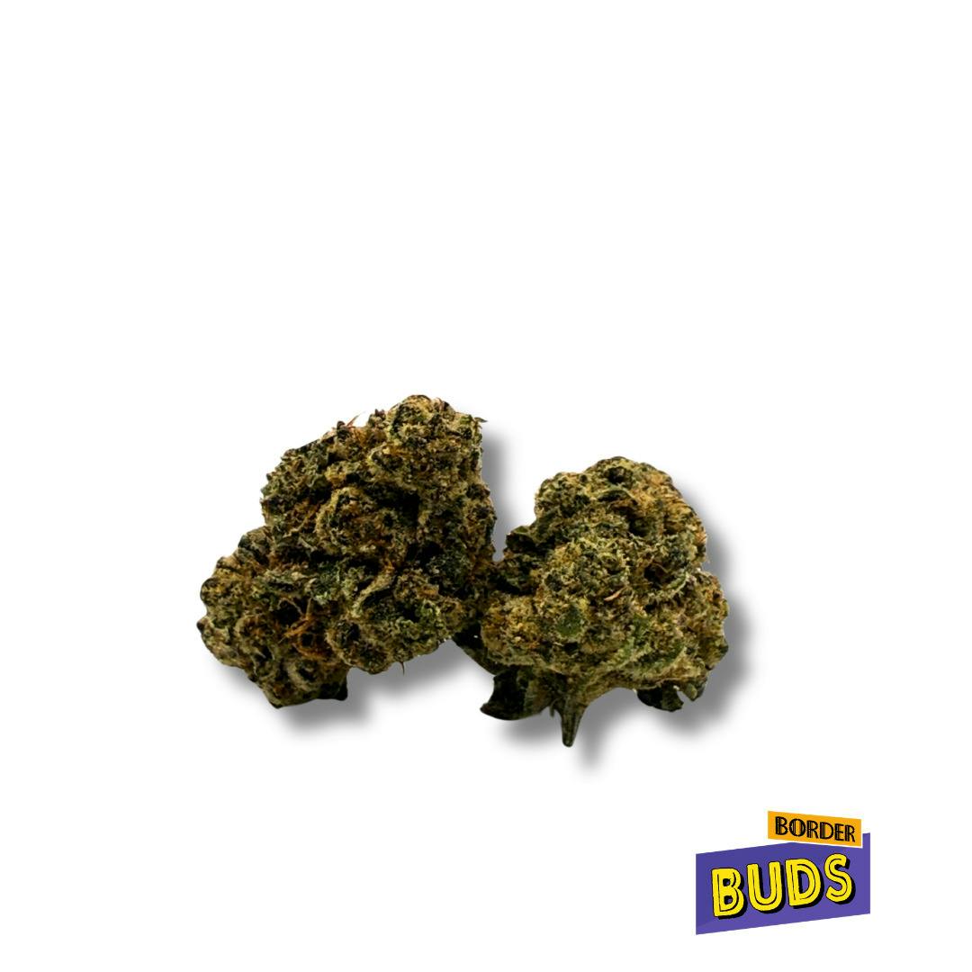 Gush Mintz | Fade Away | Deli-Flower