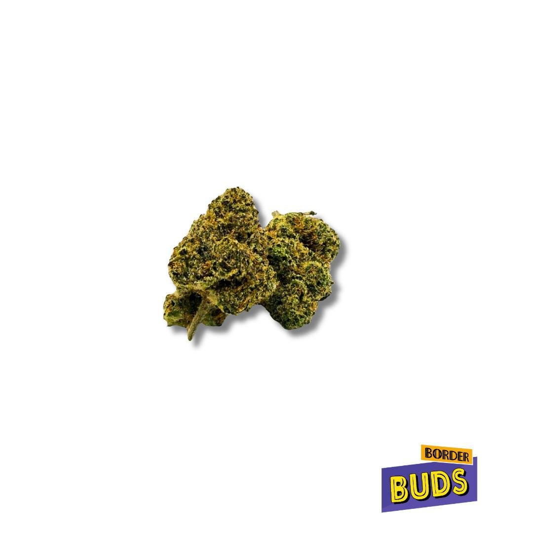 Purple Pigeon | Fade Away | Deli-Flower
