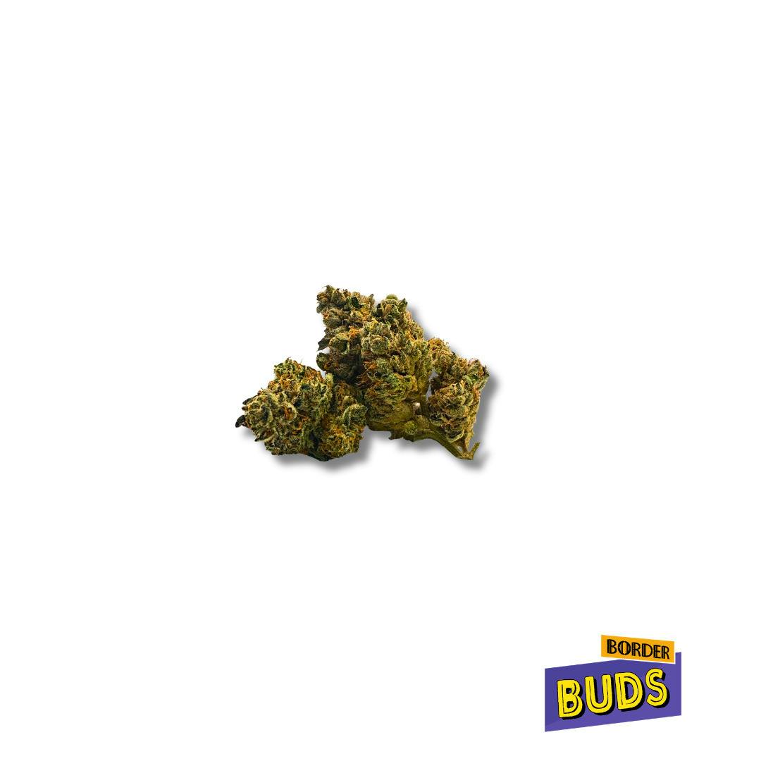 Popz 41 | Wise Guys | Deli-Flower