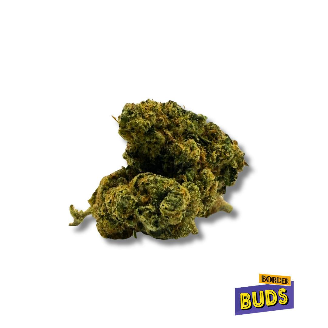 G13 | Common Citizen | Deli-Flower