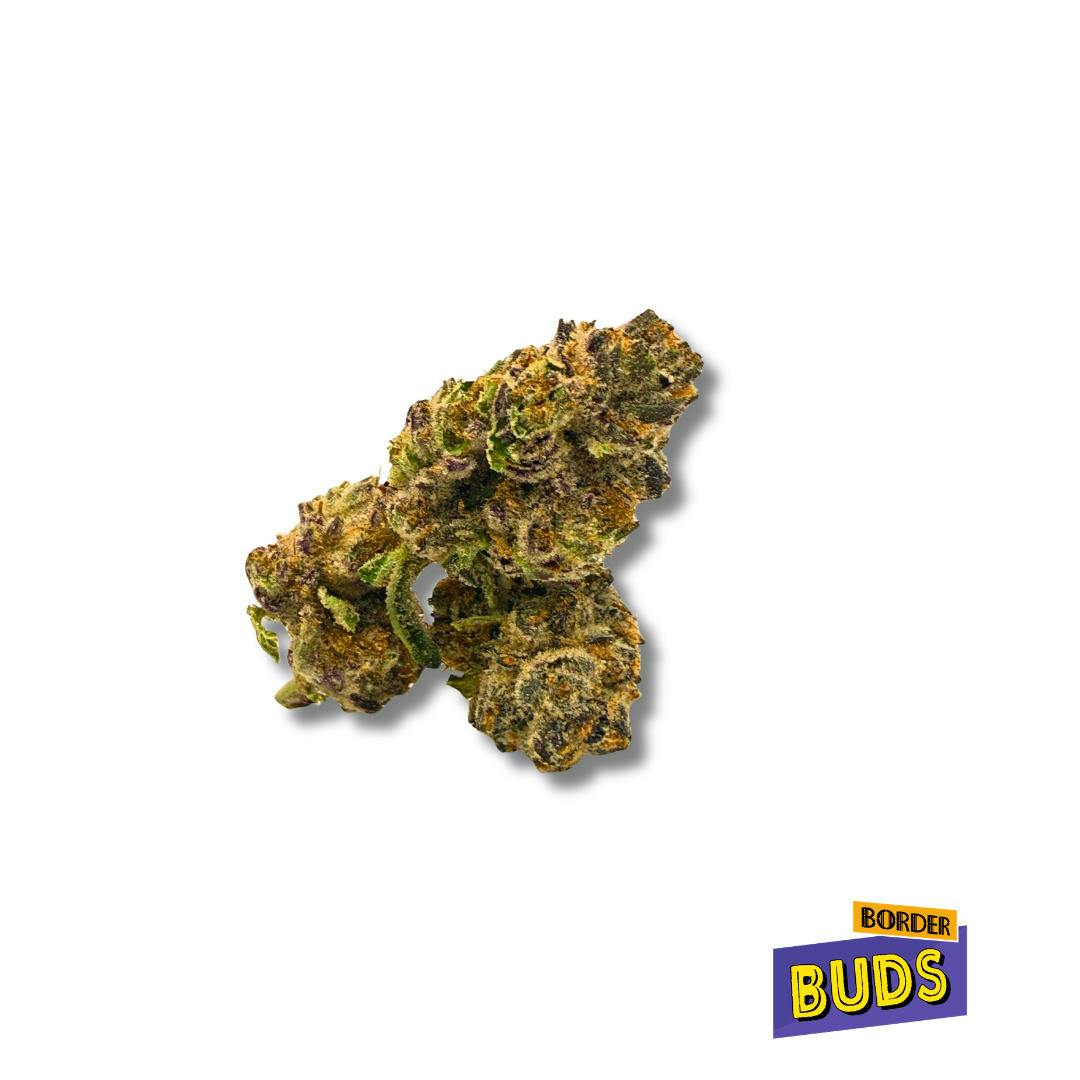Midnight Eclipse | ILL EXOTICS | Deli-Flower