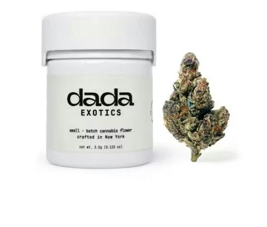 Dada - Flower - Exotics - Peach Ringz