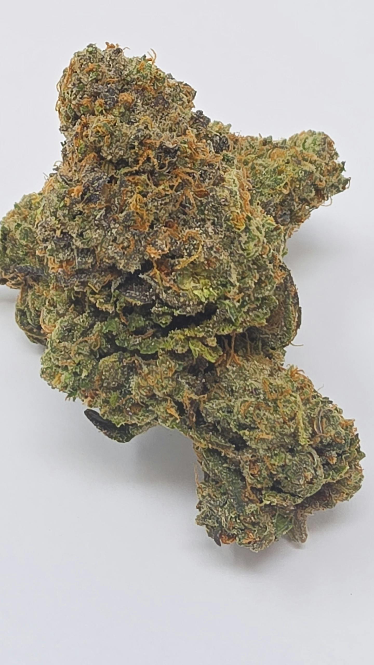 G13 Skunk